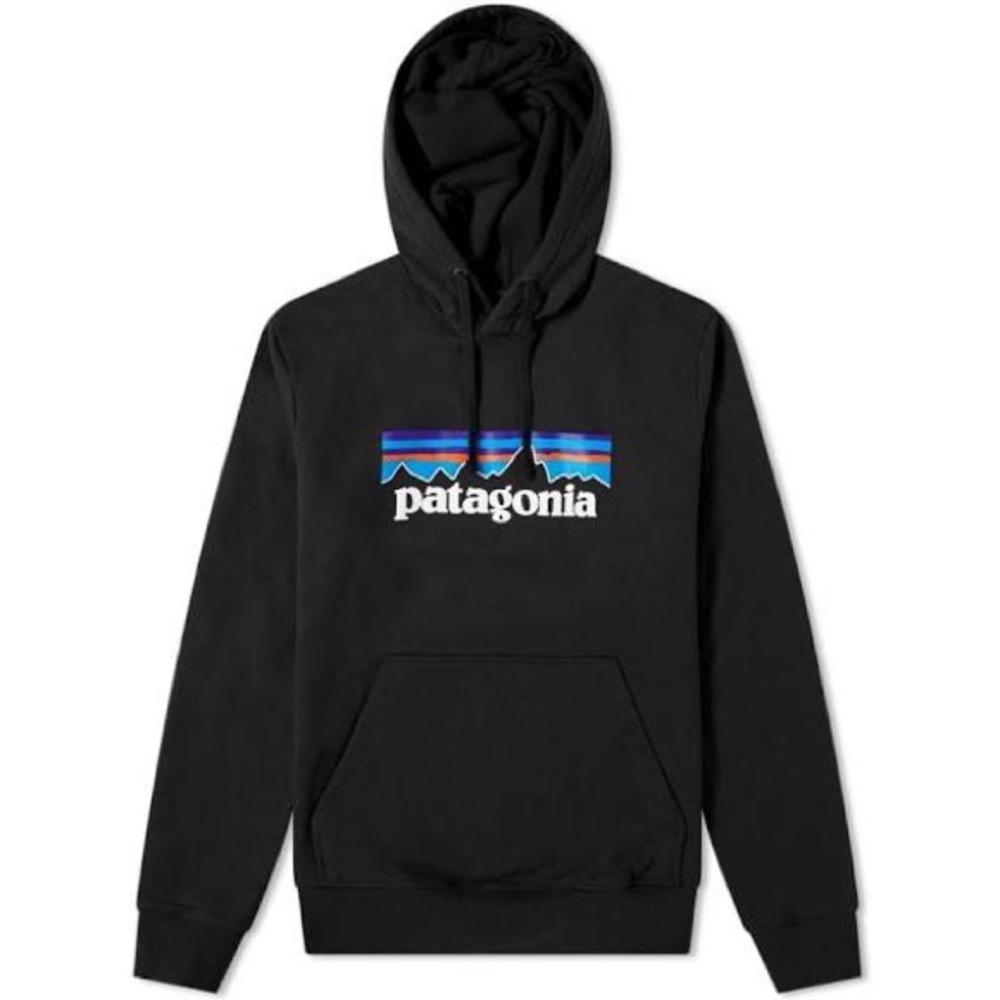 Patagonia Hoodie